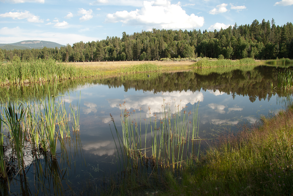 Thompson Ridge Estates Community Pond