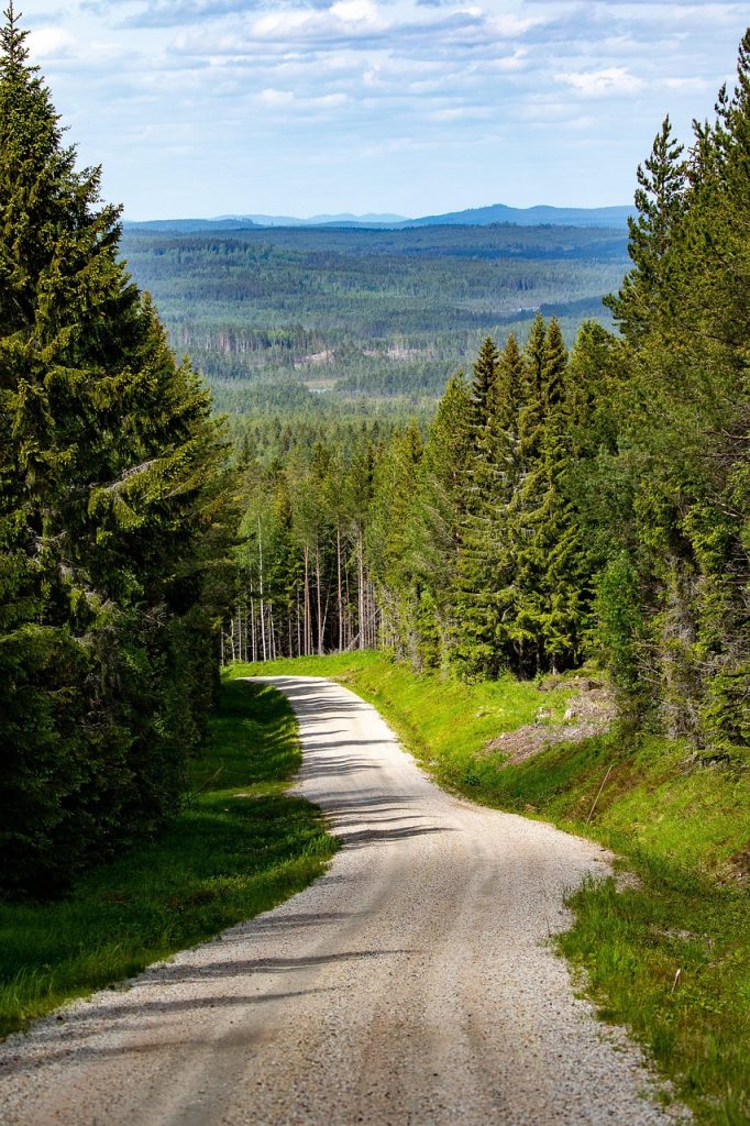 gravel road, forest, mountain, nature, landscape, greenery, greenery, greenery, greenery, greenery, greenery